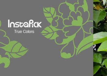 1209_實物取色 設計-eeec3cda