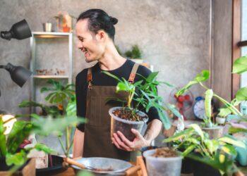 園藝市場每年逐步成長