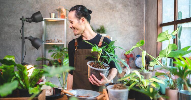 園藝市場每年逐步成長