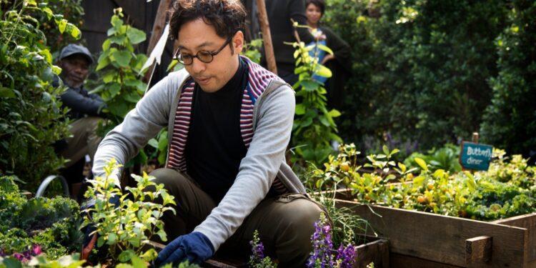 園藝新生活-e062d33b