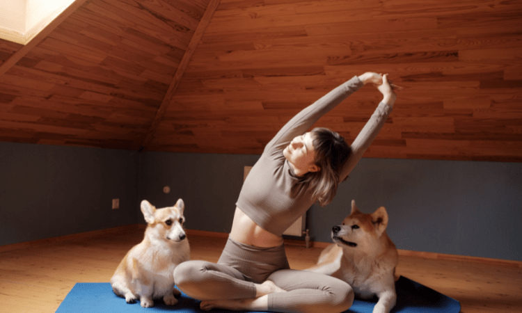 培養健康生活並不難！保健品牌 GA黃金甲「養生多一點」的觀念，懶人、忙碌上班族也適用