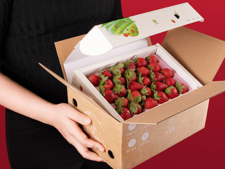 （圖一）草莓換新衣後，可以有效減少塑膠外盒所造成的碳排問題 (1)