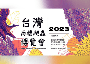 「肥尾巴」策展 3 亮點打造全台最大兩棲爬蟲博覽會