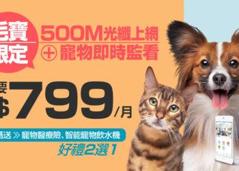 凱擘大寬頻寵物居家關懷+500M光纖上網快閃價799元，限時再享寵愛好禮。