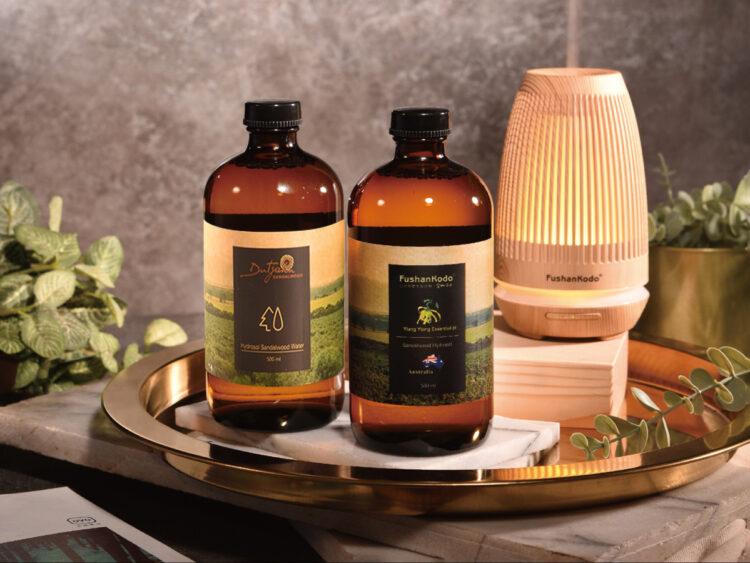 鶯歌光點美學館 春日繽紛藝游趣