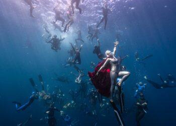 台灣自由潛水DEEP WEEK台灣