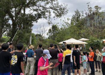 多多鳥摃檨仔活動