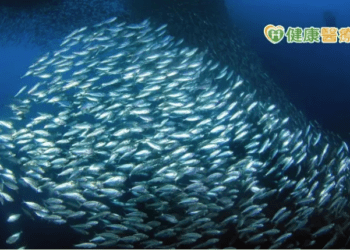 截圖 2023-05-15 上午10.24.31