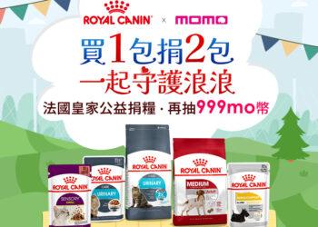 法國皇家用實際行動迎接國際貓咪狗狗節