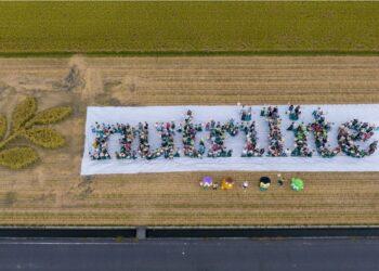 安麗台灣與宜蘭地區農耕團體合作打造紐崔萊永續農耕概念村