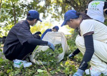 摘除下來的小花蔓澤蘭仍需要做分類３