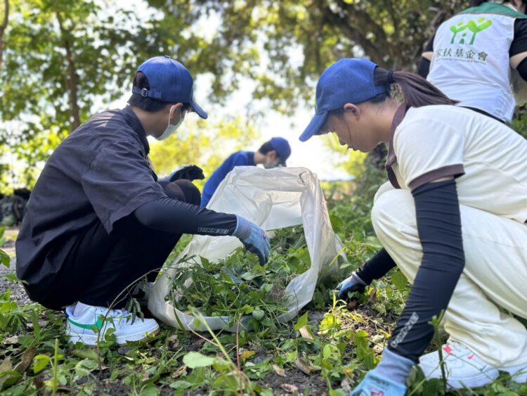 摘除下來的小花蔓澤蘭仍需要做分類３