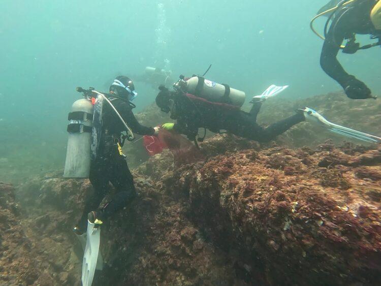 黑潮潛水清除漁網