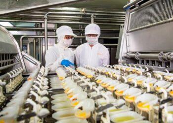 圖說：勤億蛋品使用巴斯德低溫殺菌法，可以在3.5分鐘內完成殺菌，有效滅除沙門氏菌、大腸桿菌等多種有害致病菌。（資料來源：勤億蛋品）