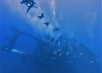 黑潮潛水蘭嶼船潛