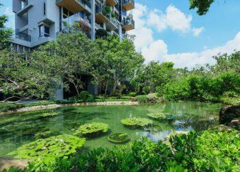 d04b370f1ab45e7e26c85a60caa902b6