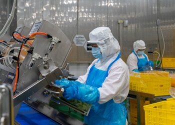 食材管理全程低溫環控，嚴謹且合規的高品質把關。圖片來源：全日物流