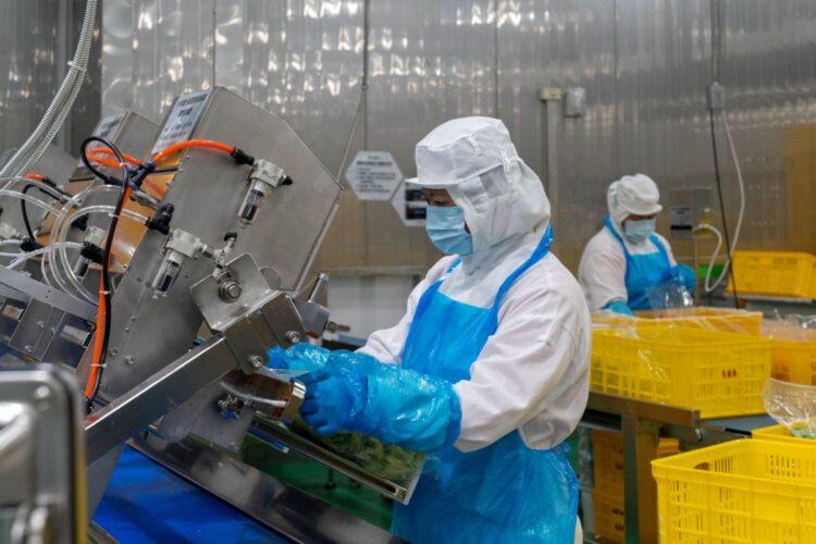 食材管理全程低溫環控，嚴謹且合規的高品質把關。圖片來源：全日物流