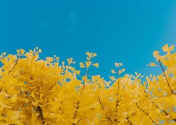 cole-keister-NK_Gln2AvR0-unsplash