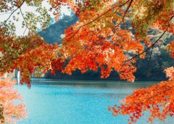 kishor-VW2vRZVYILI-unsplash