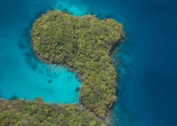 黑潮潛水帛琉之旅