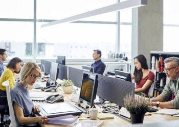 job_seeking_hongkongerimmi