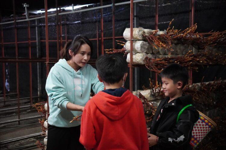 農場向遊客解說鹿角靈芝