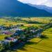 關山有全國第一條觀光休閒自行車道、第一座親水公園，也是臺東稻穀產量最多的地區_960540