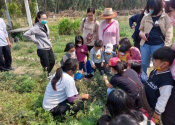 慢飛天使一日小農