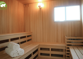 毒品破壞身體健康 有逆轉的可能嗎？