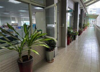 s_辦公室綠美化 營造優質辦公環境
