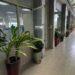s_辦公室綠美化 營造優質辦公環境