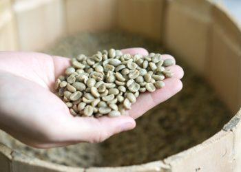 硬性格 自家烘焙