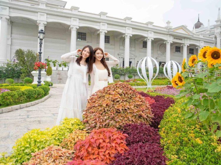 佐登妮絲城堡波波草嘉年華開跑 首次引進「香藝波波草」 超Q繽紛團子攻佔整個園區