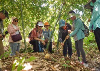民眾與教授採筍