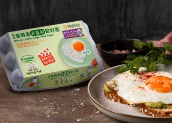 圖說：葉黃素非籠飼是好蛋打破傳統紅蛋較營養的迷思，使用友善飼養的白蛋，並餵食蛋雞多種天然營養素，吃得健康又安心。（資料來源：勤億蛋品科技）