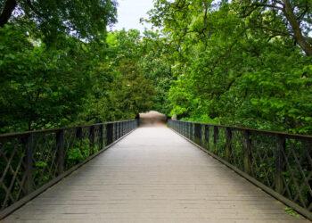 圖說 HPE發布《2023 Living Progress Report》，展現其永續、包容、具備AI倫理的策略與實踐。