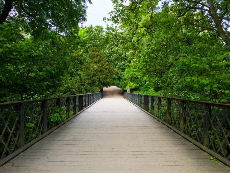 圖說 HPE發布《2023 Living Progress Report》,展現其永續、包容、具備AI倫理的策略與實踐。