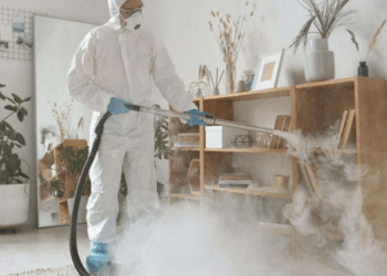 螢幕擷取畫面 2024-08-16 112455