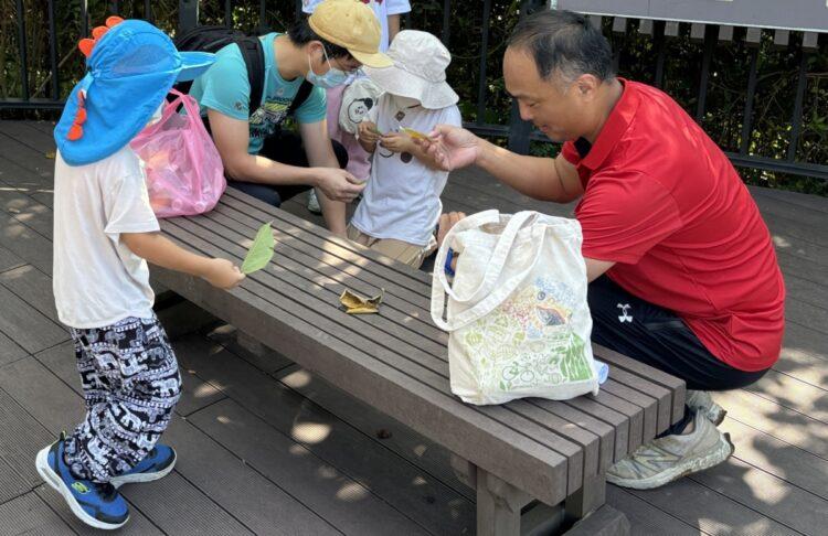 「樹葉運動會」透過樹葉的拼圖遊戲，提升孩子們的手眼協調能力。