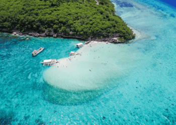 螢幕擷取畫面 2024-09-13 175609