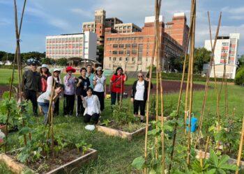 居家一米菜園班