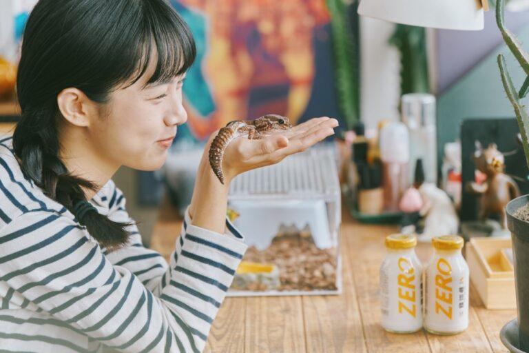 圖說：豆渣可成為黑水虻的食物來源，再將黑水虻作為特寵守宮蟲泥的主食，讓「零豆漿」的豆渣做到100％全循環利用。（資料來源：豆豆鮮生）