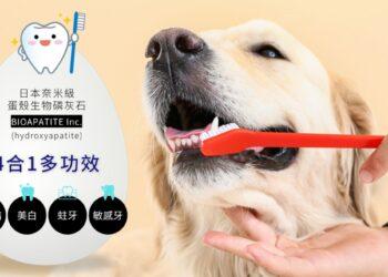 創新科技：日本奈米級蛋殼生物磷灰石革新寵物牙膏應用