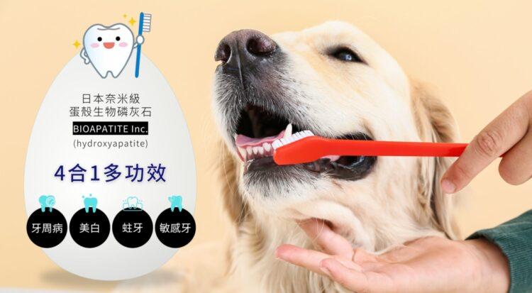 創新科技：日本奈米級蛋殼生物磷灰石革新寵物牙膏應用
