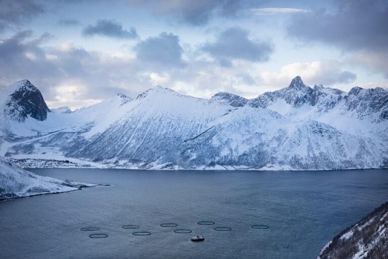 【挪威海產推廣協會新聞圖片二】Seafood from Norway原產地商標讓消費者對品質充滿信心，並確保購買的海鮮來自挪威寒冷且清澈的水域