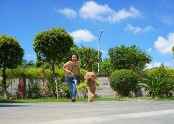 圖說：初春遊玩趴趴走，讓臭味滾把關毛孩清潔，輕便瓶身設計，攜帶也好方便！（資料來源：臭味滾）