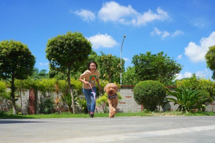 圖說：初春遊玩趴趴走，讓臭味滾把關毛孩清潔，輕便瓶身設計，攜帶也好方便！（資料來源：臭味滾）