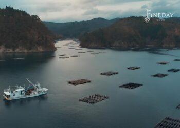 FineDayClub 海中清酒