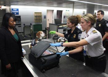 出國回台禁帶物